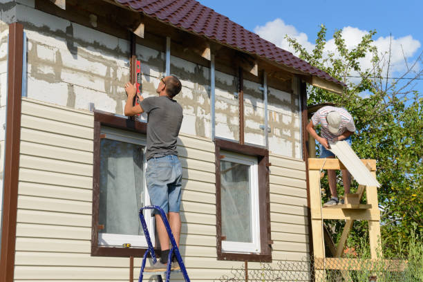 Lamont, MI Siding Installation & Repair Company