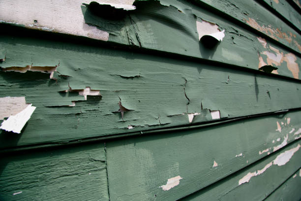 Affordable siding repair and maintenance services in Lamont, MI